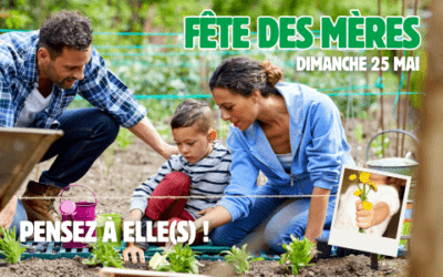 Fête des Mères 2025